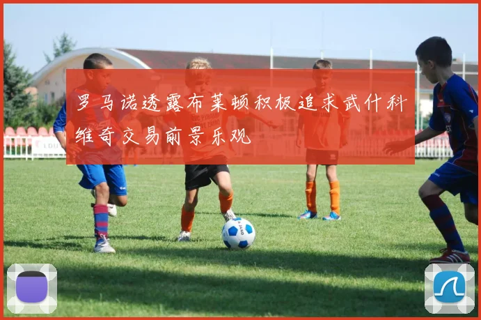 罗马诺透露布莱顿积极追求武什科维奇交易前景乐观